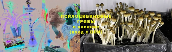 не бодяженный Арсеньев