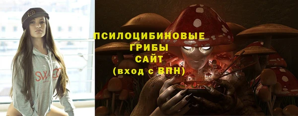 не бодяженный Арсеньев